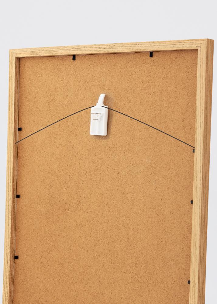 Bilderhaken für jede Wand - BGA Bilderhaken 2-p