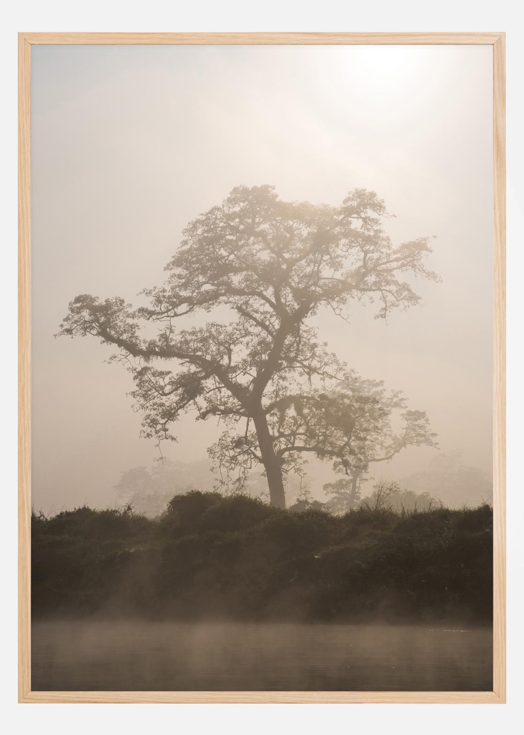 Product Image for Misty Tree Poster (21x29.7 cm (A4))