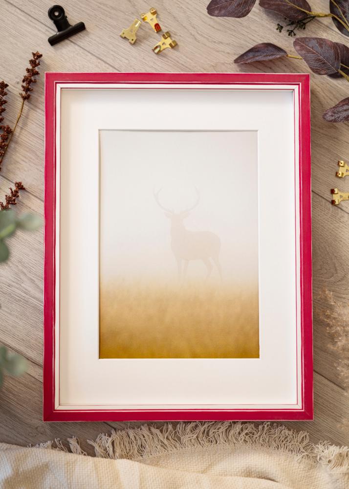 Rahmen Diana Acrylglas Rot 45x60 cm