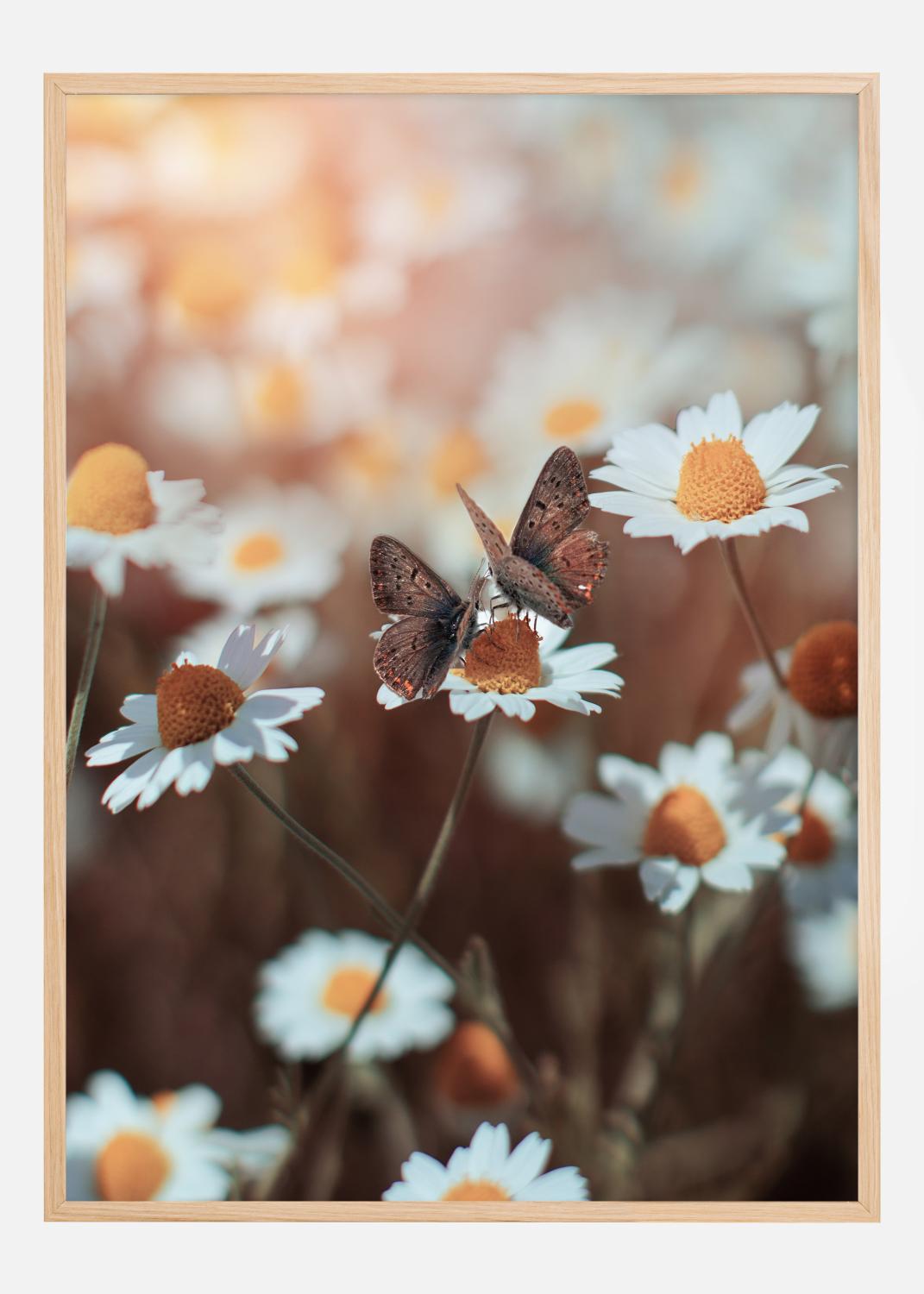 Product Image for Two Butterflies Poster (21x29.7 cm (A4))