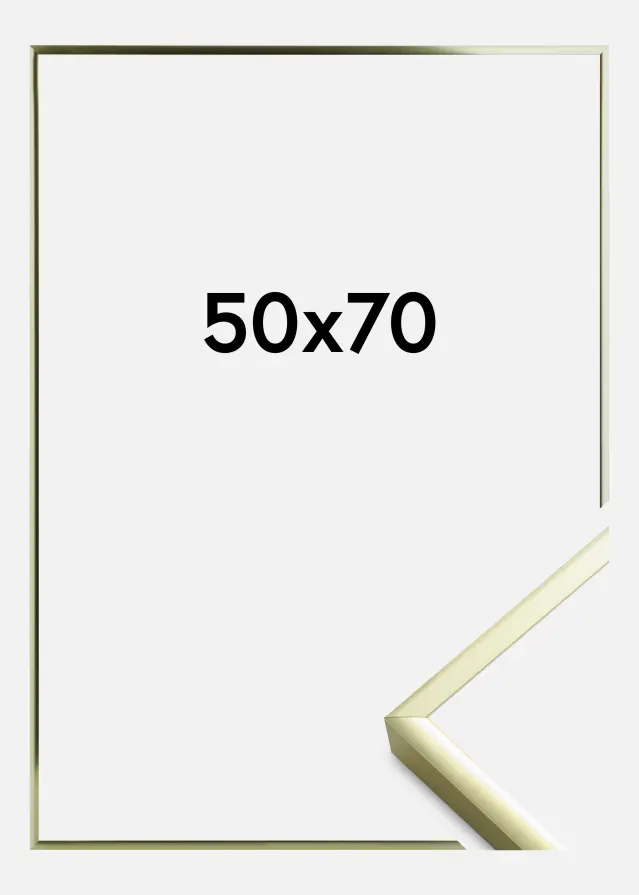 Rahmen Poster Frame Aluminum Gold 50x70 cm