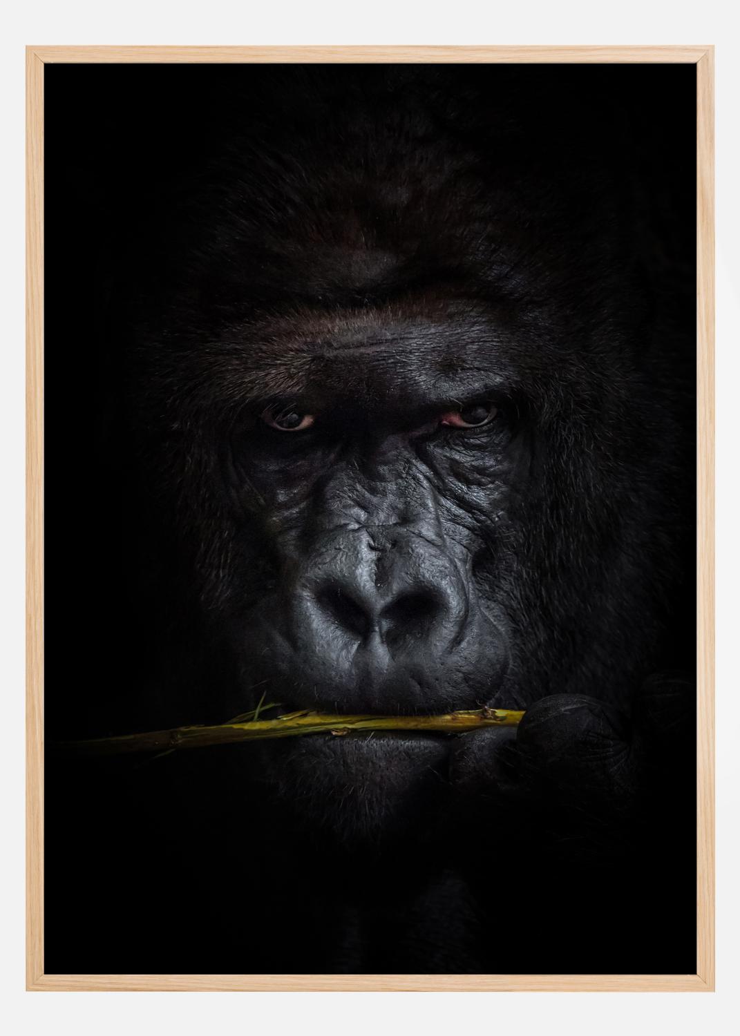 Product Image for Mysterious gorilla Poster (21x29.7 cm (A4))