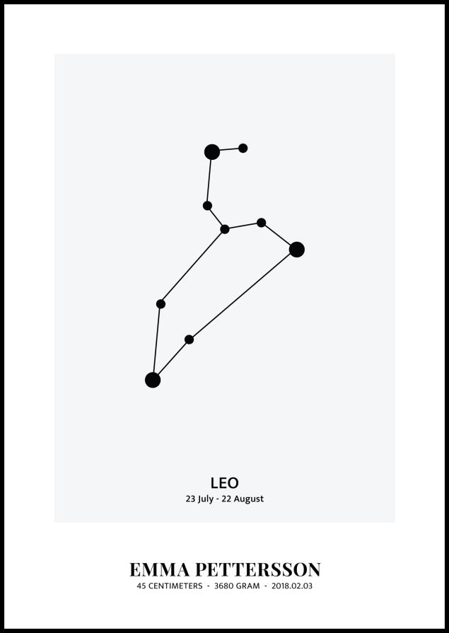 Löwe - Sternzeichen