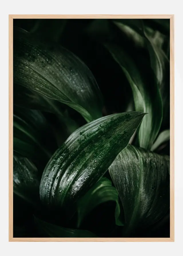 Plant Poster