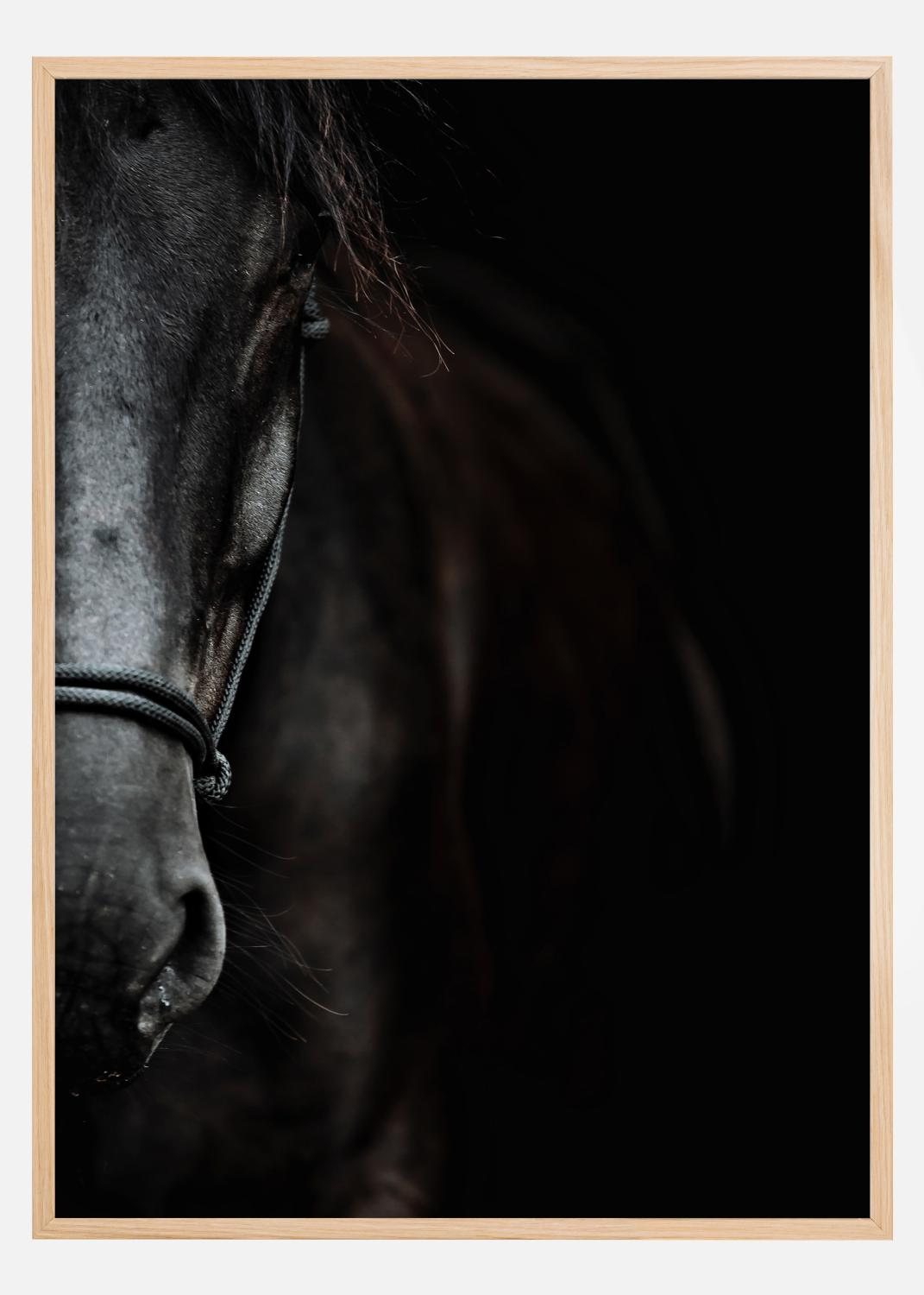 Product Image for Dark Horse Poster (21x29.7 cm (A4))