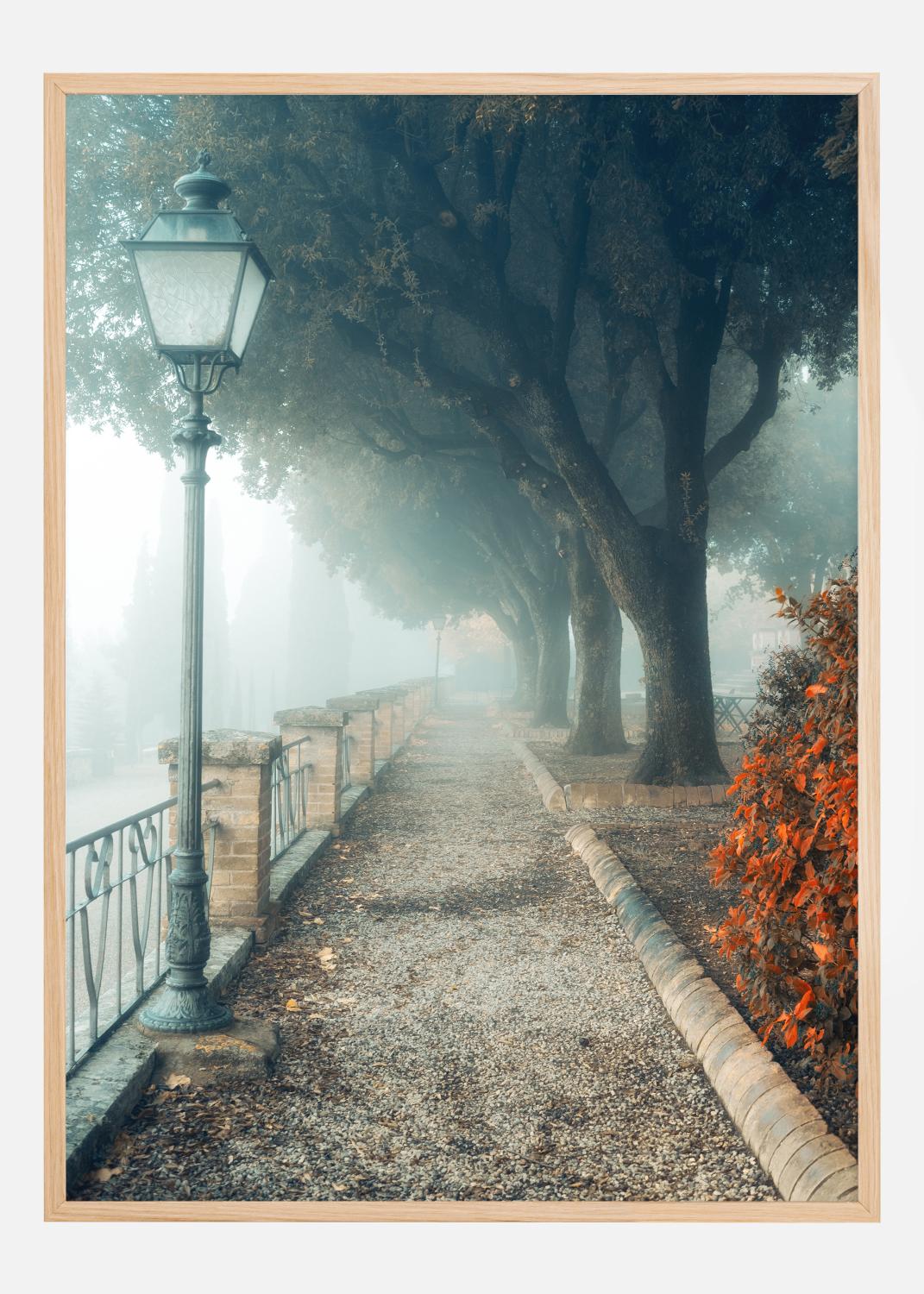 Product Image for Fogy autumn day Poster (21x29.7 cm (A4))