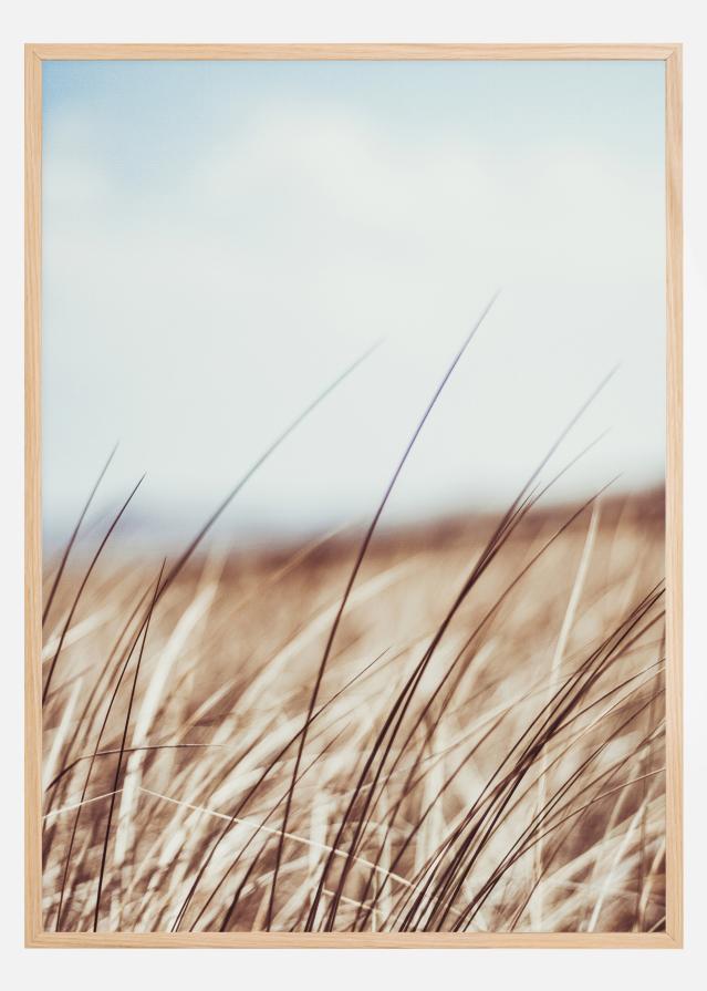 Dreamy Grass Poster