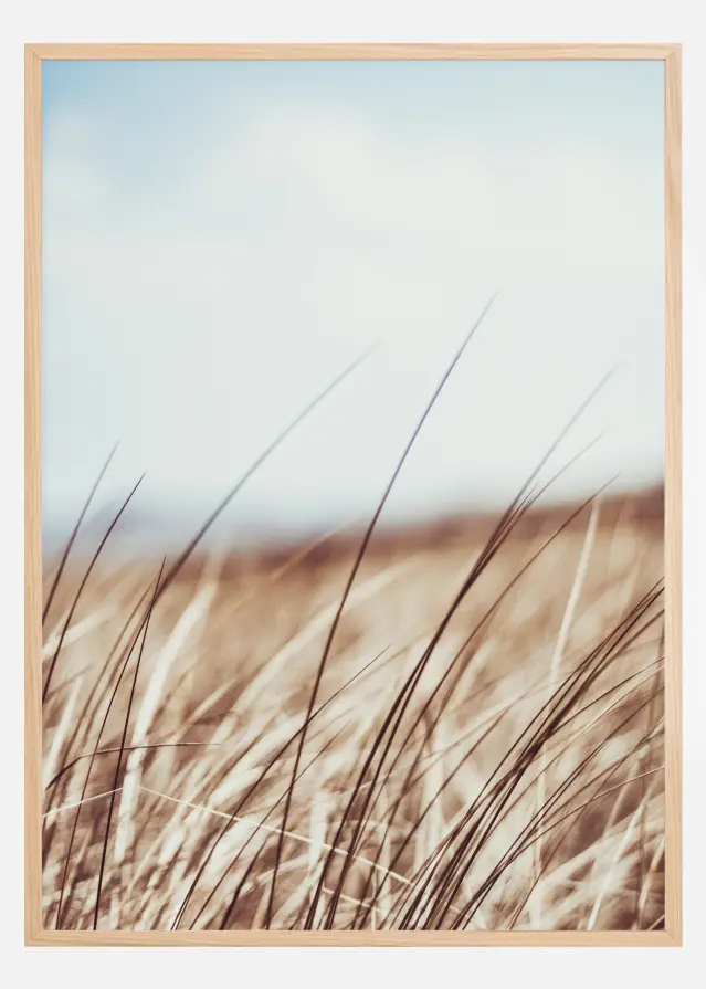 Dreamy Grass Poster