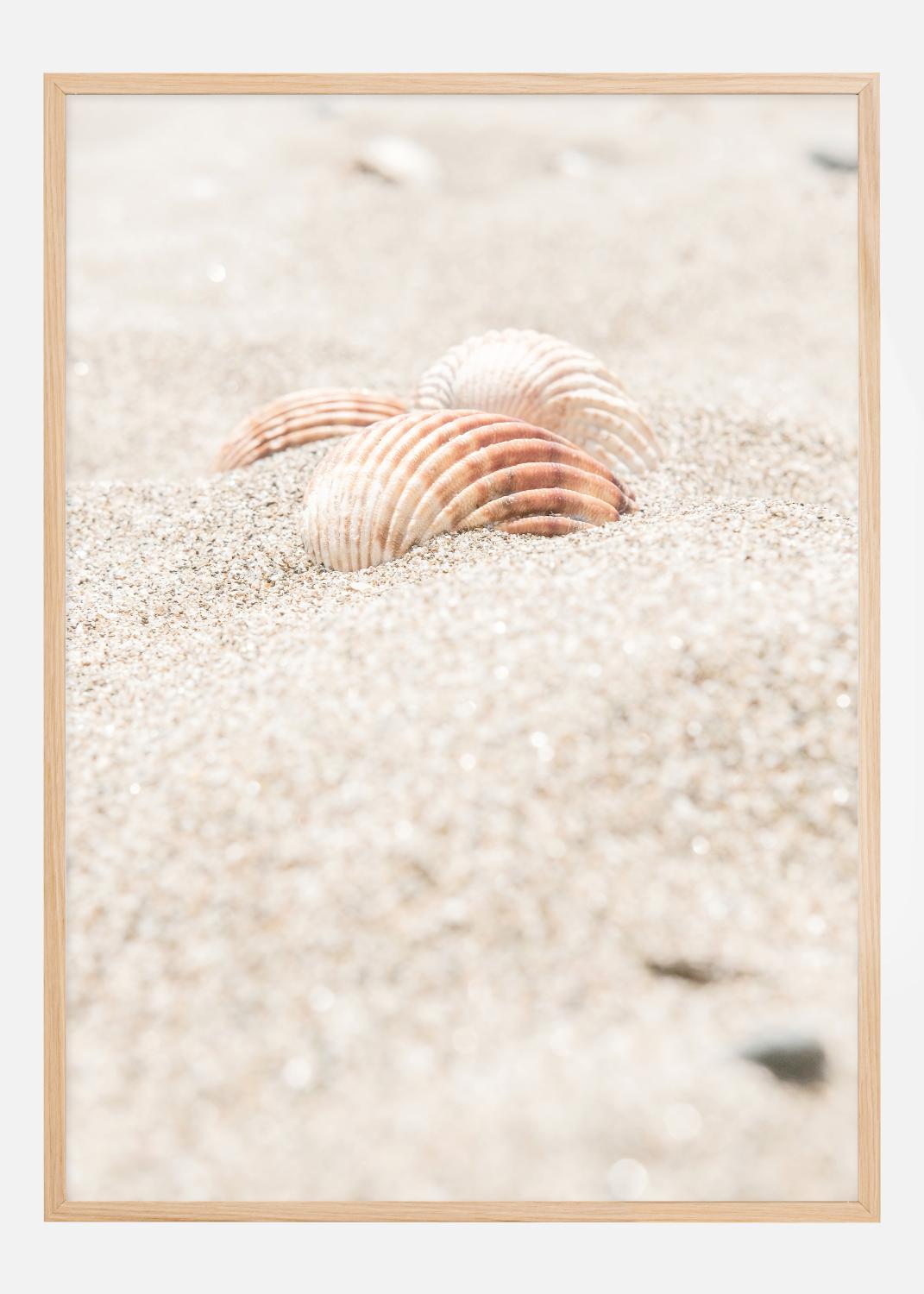 Product Image for Seashell beach Poster (21x29.7 cm (A4))