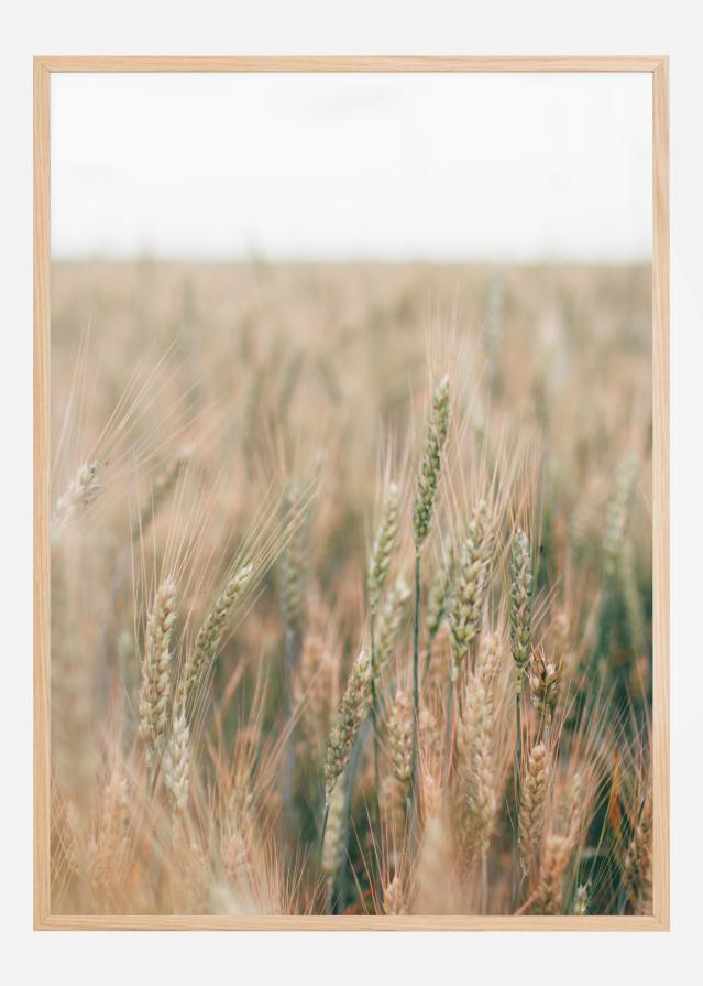 Summer Fields Poster