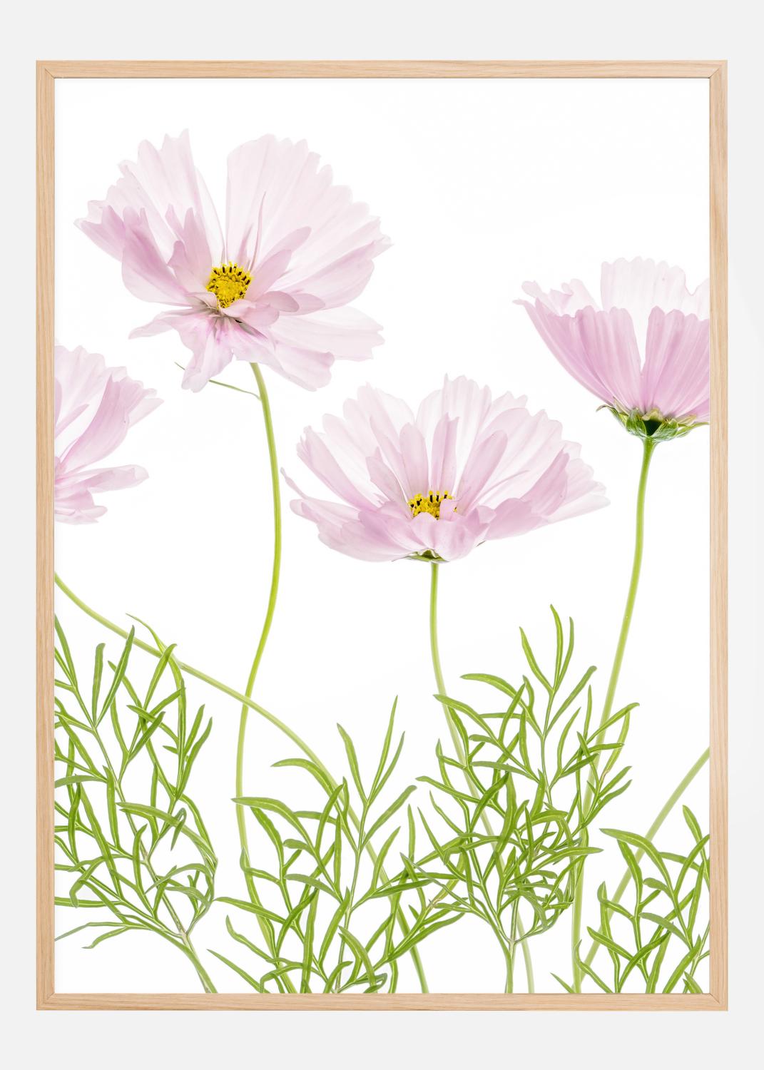 Product Image for Cosmos Cupcake Poster (21x29.7 cm (A4))