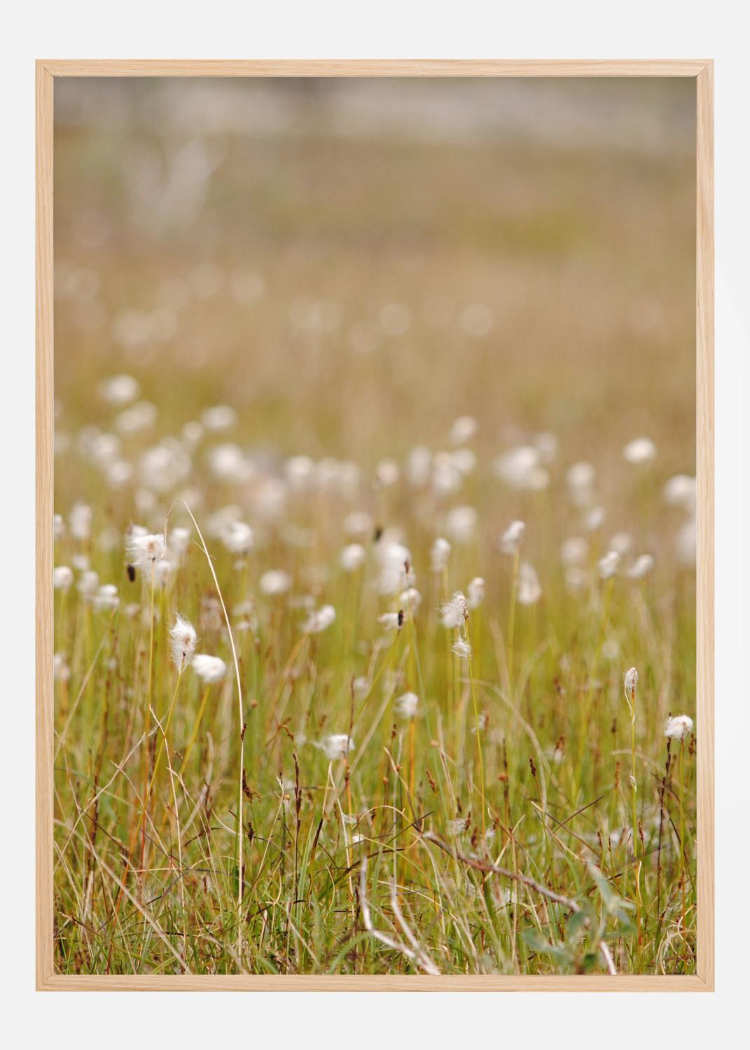 Product Image for Summer Fileds Poster (21x29.7 cm (A4))