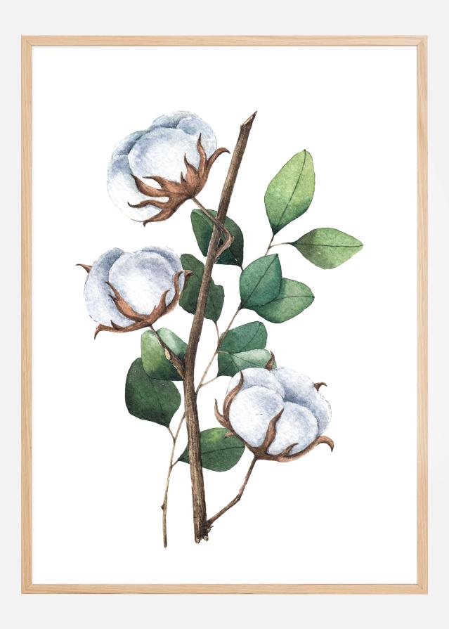 Cotton Flower Poster