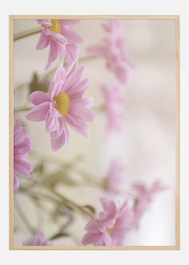 Pink Flowers Poster