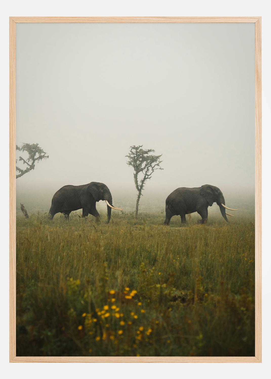 Product Image for Elephant Walk Poster (21x29.7 cm (A4))