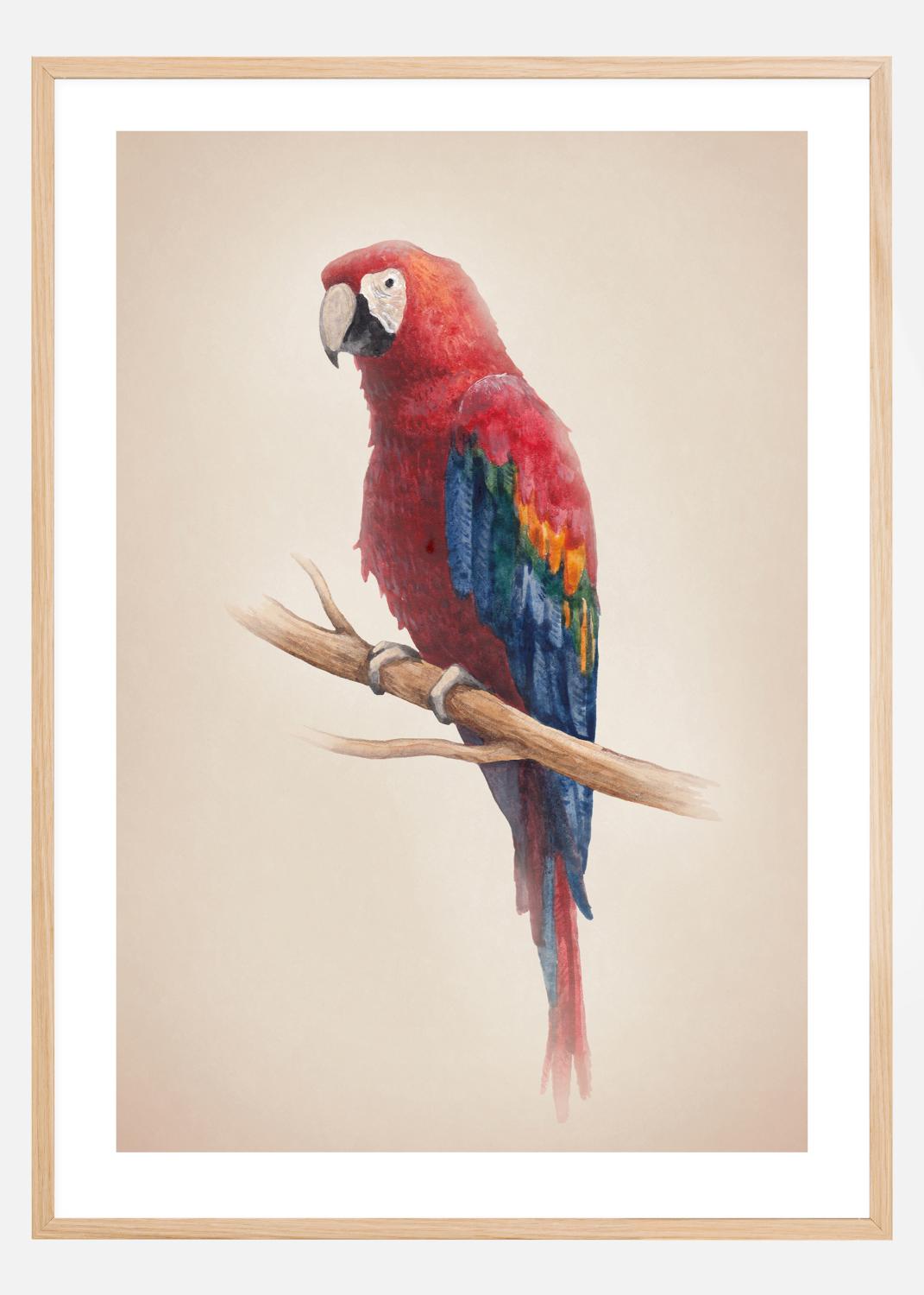 Product Image for Tropical Parrot Poster (21x29.7 cm (A4))