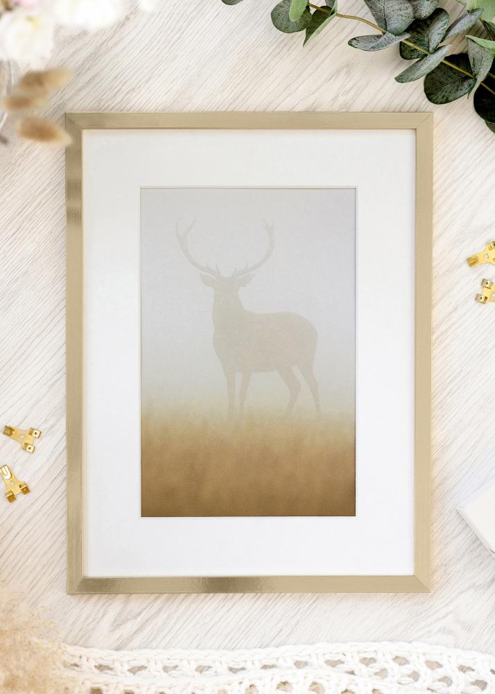 Rahmen Trendy Acrylglas Gold 50x70 cm