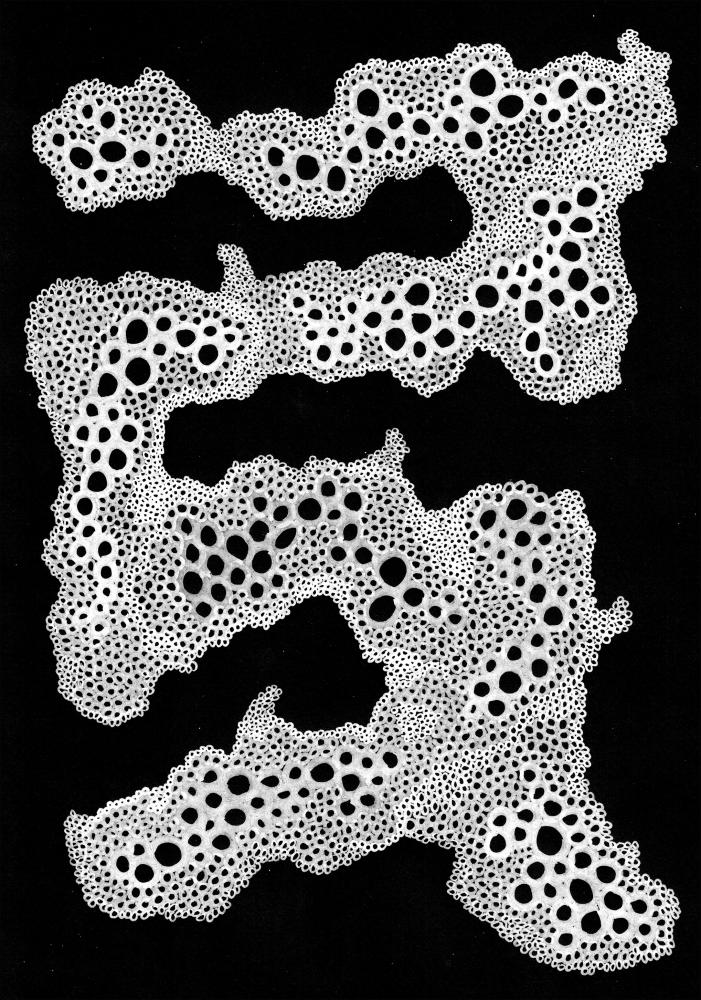 BUBBLESBLACK Poster