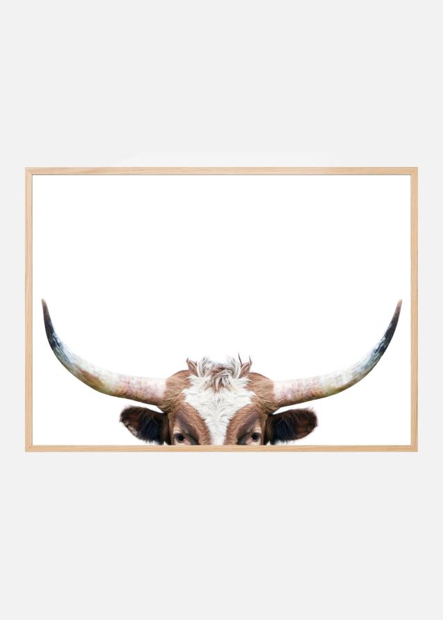 Peeking Longhorn Cow Poster