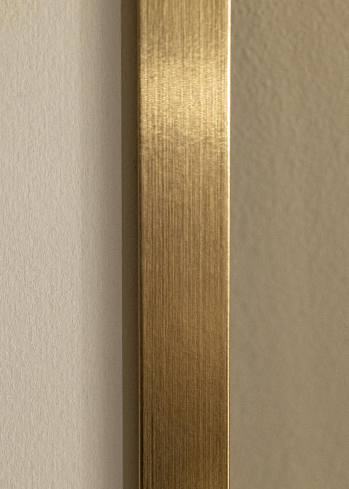 Rahmen Selection Gold 70x100 cm - Passepartout Weiß 62x93 cm