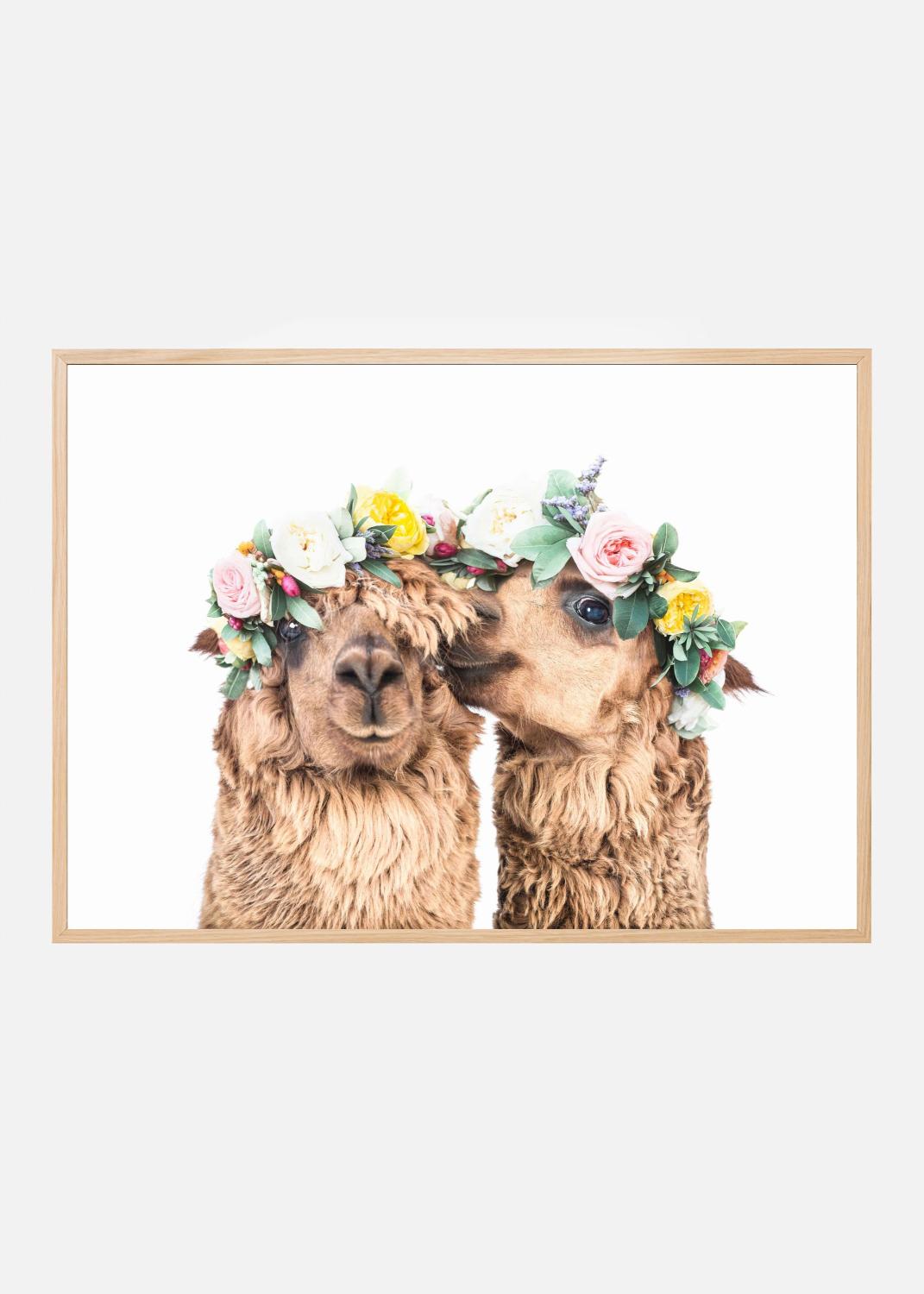 Product Image for Boho Alpacas Poster (40x60 cm)