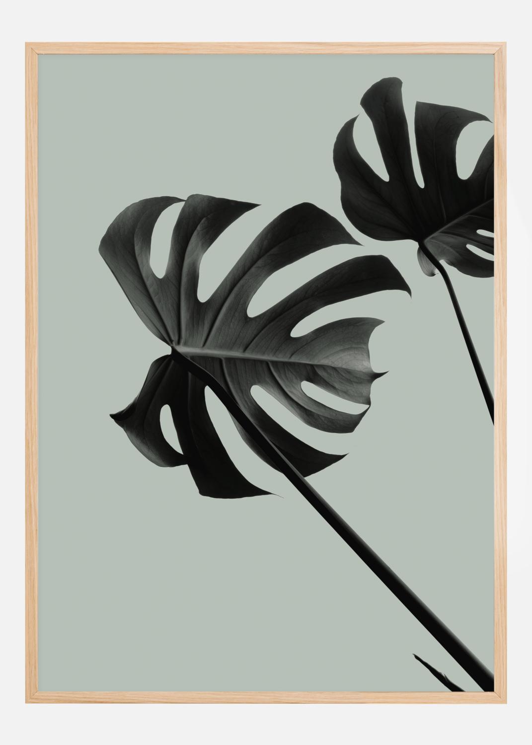 Product Image for Monstera Teal II Poster (70x100 cm)