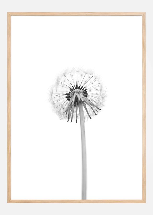 Dandelion Poster