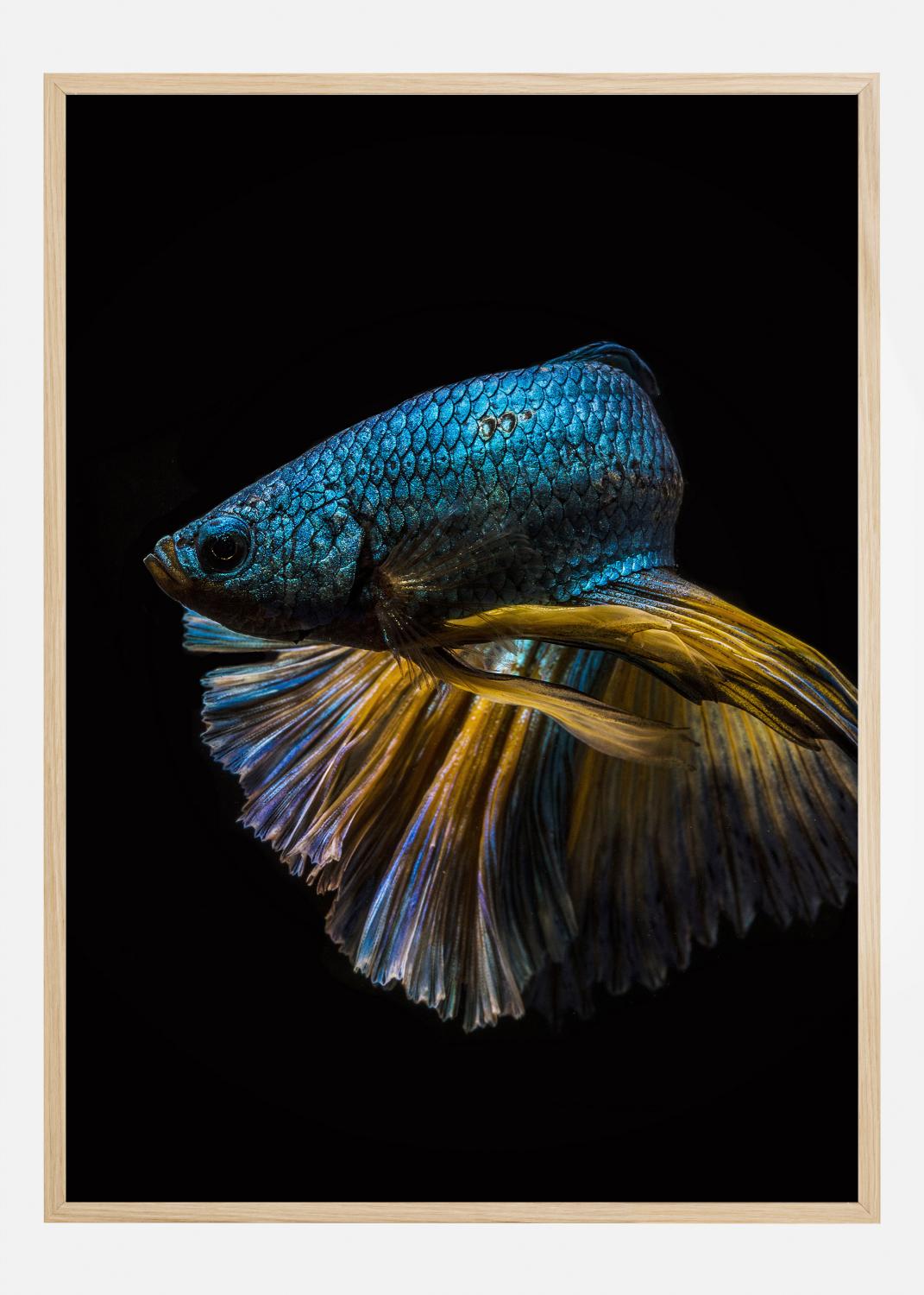 Product Image for Half turn Poster (21x29.7 cm (A4))