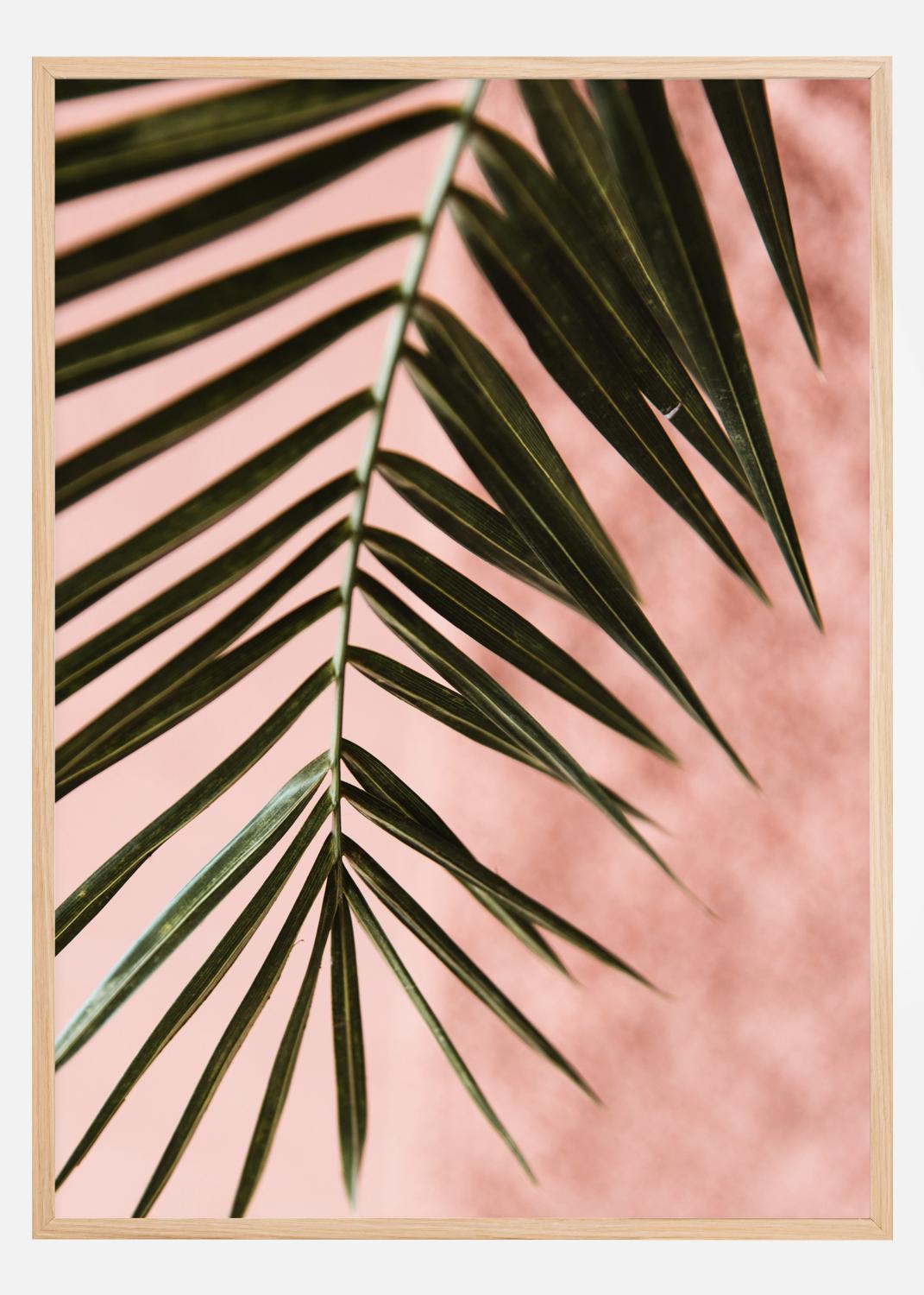 Product Image for Pink pastell palm Poster (21x29.7 cm (A4))
