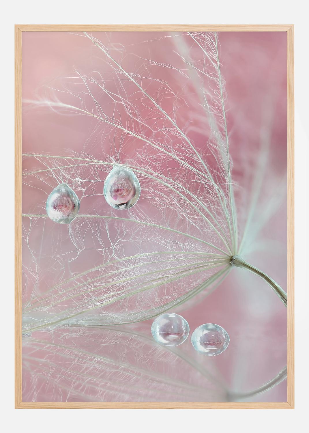 Product Image for Two of us Poster (21x29.7 cm (A4))