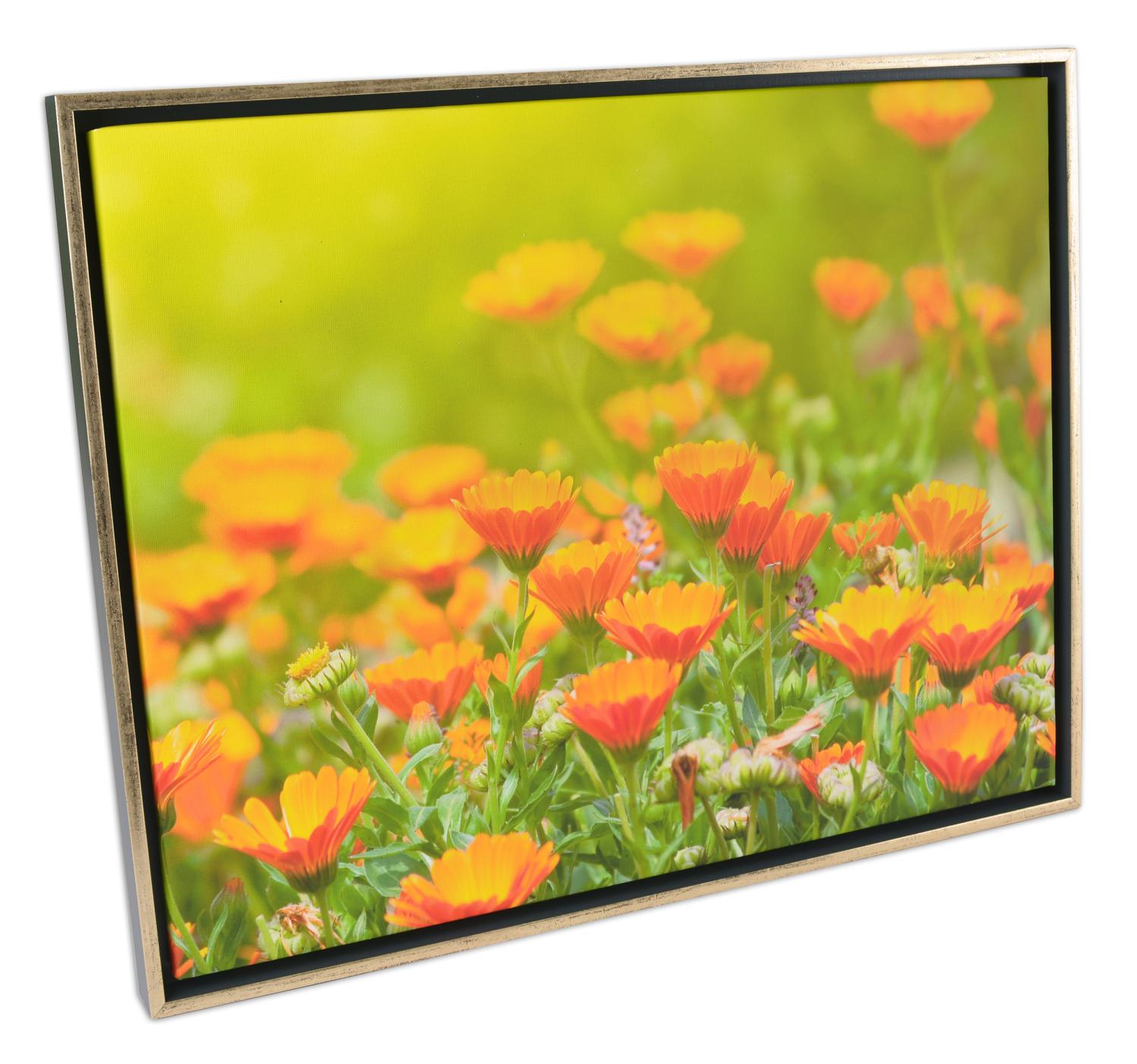 Product Image for Åsen Canvas-Rahmen Weiß/Silber - Größe nach Wunsch (Bilderrahmen für Leinwand)