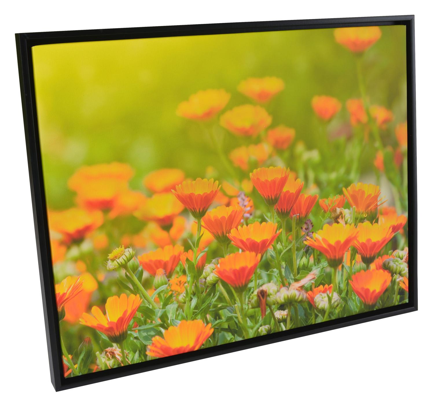 Product Image for Åsen Canvas-Rahmen Schwarz - Größe nach Wunsch (Bilderrahmen für Leinwand)