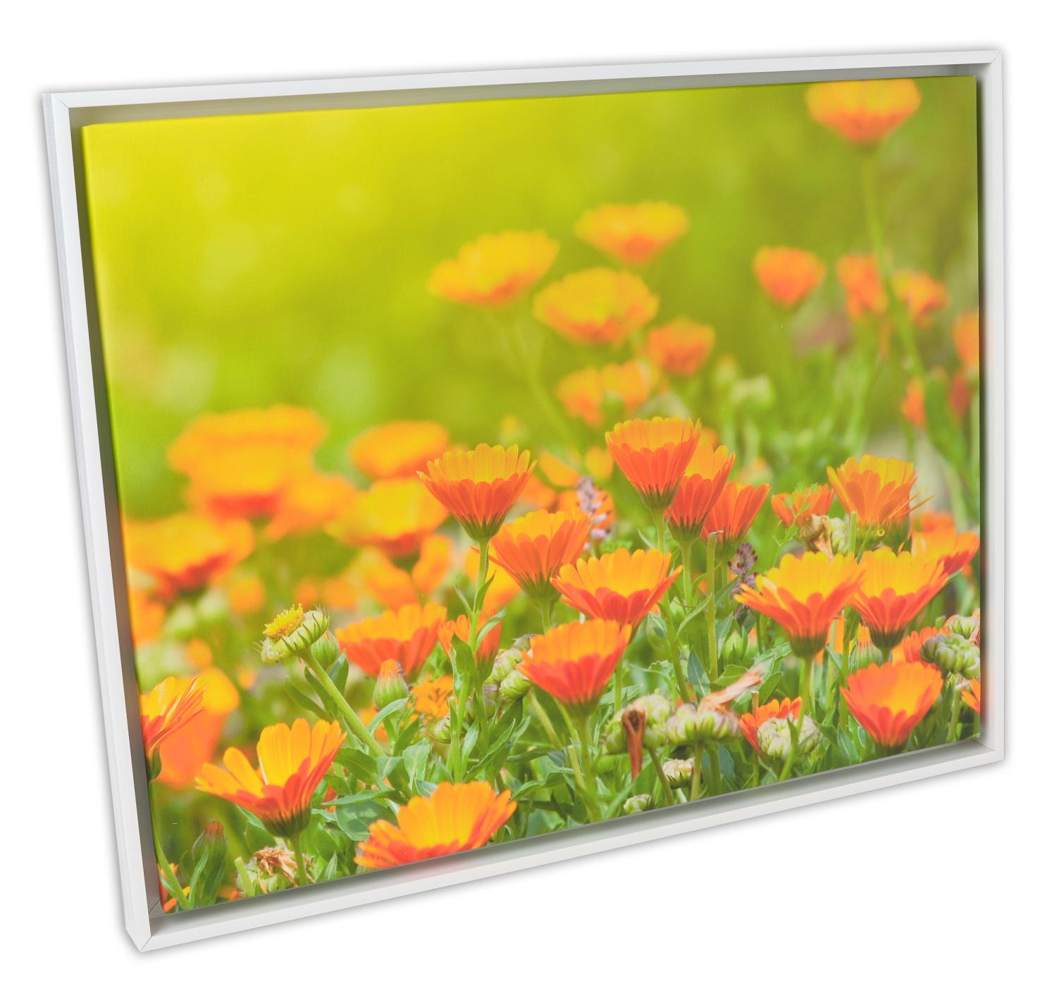 Product Image for Åsen Canvas-Rahmen Weiß - Größe nach Wunsch (Bilderrahmen für Leinwand)
