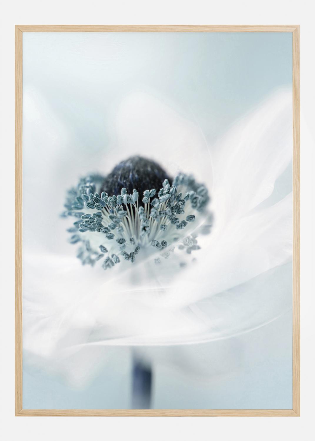 Product Image for Candy floss Poster (21x29.7 cm (A4))