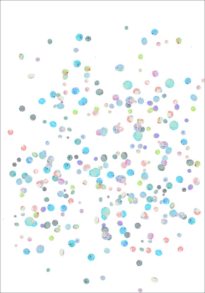 Plankton Poster