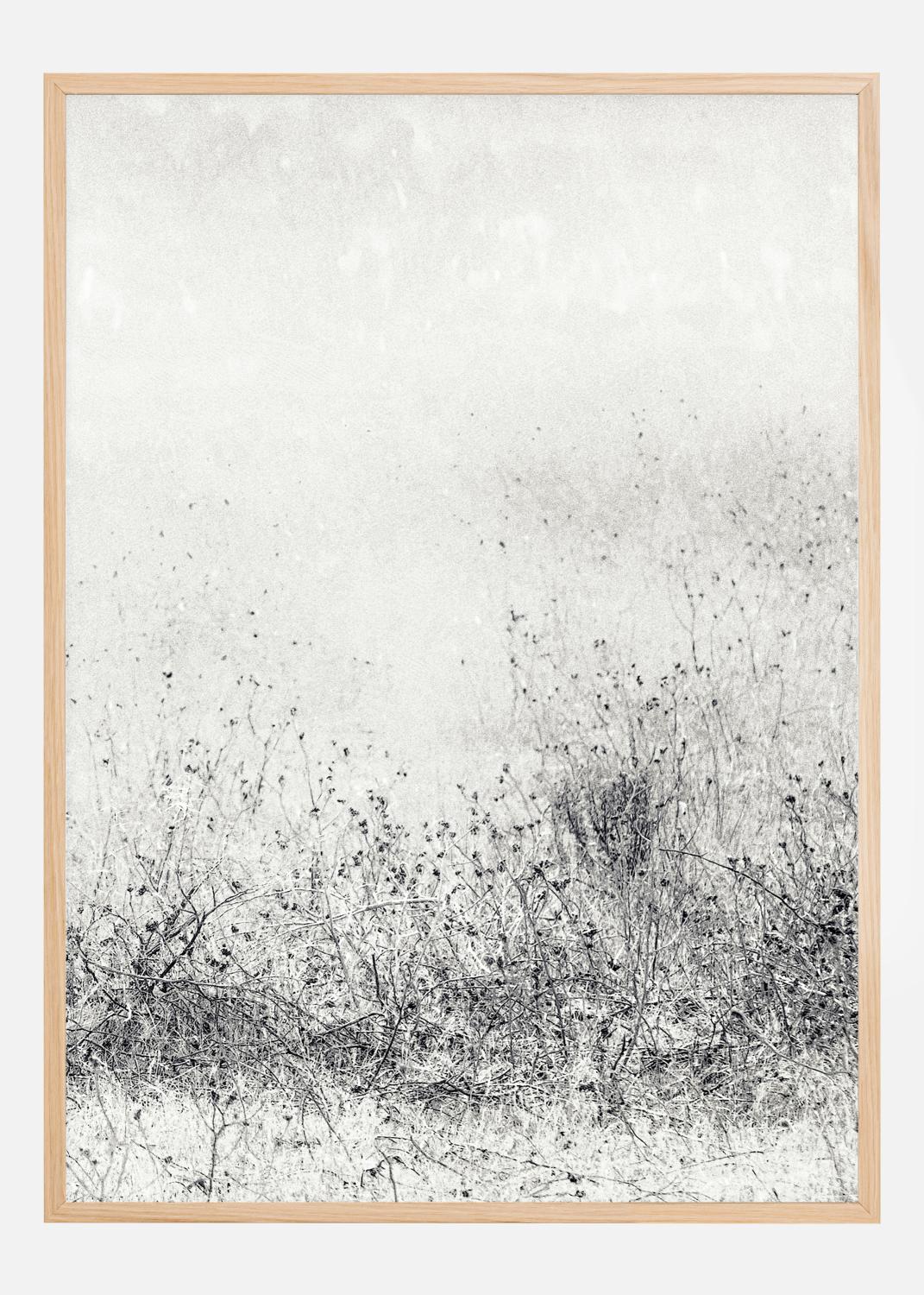 Product Image for The endless grassfields Poster (21x29.7 cm (A4))