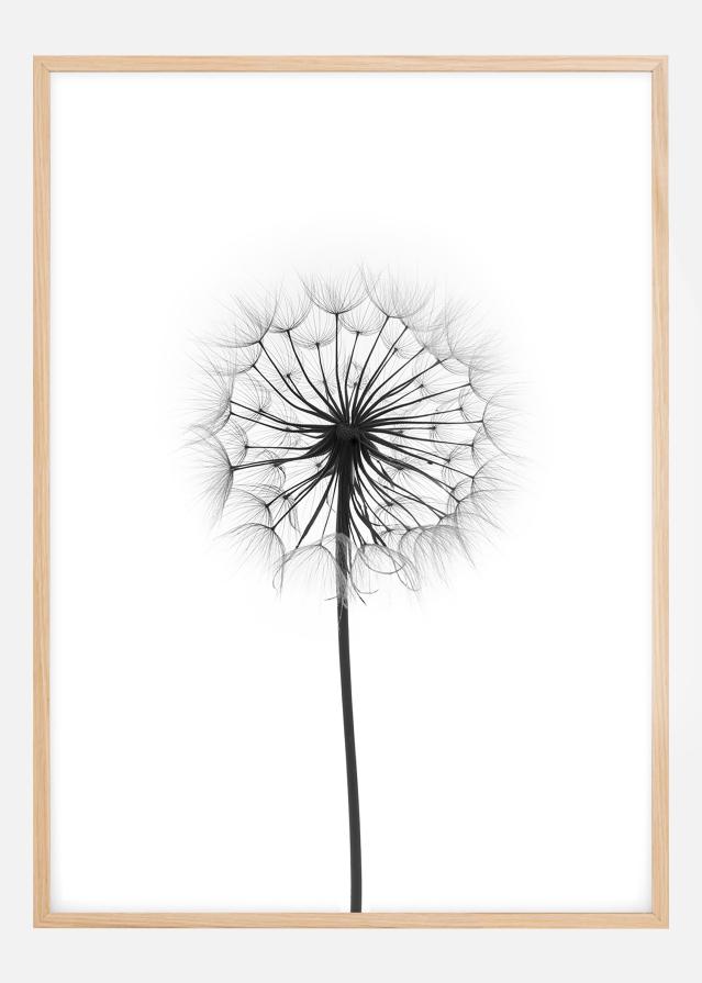 Dandelion Poster