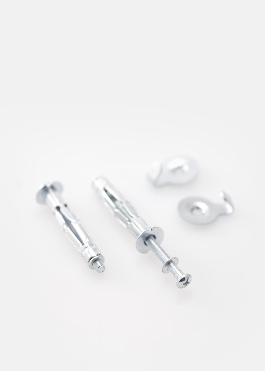 Product Image for Schraube und Dübel für Gipswand 5 mm - 4er-Pack