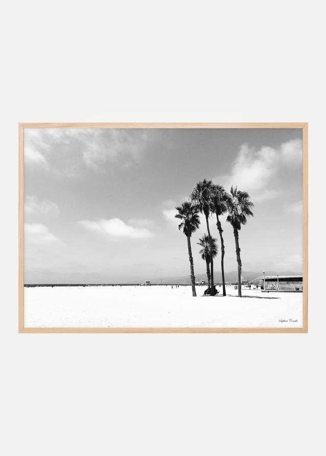 Venice Beach Ocean Poster