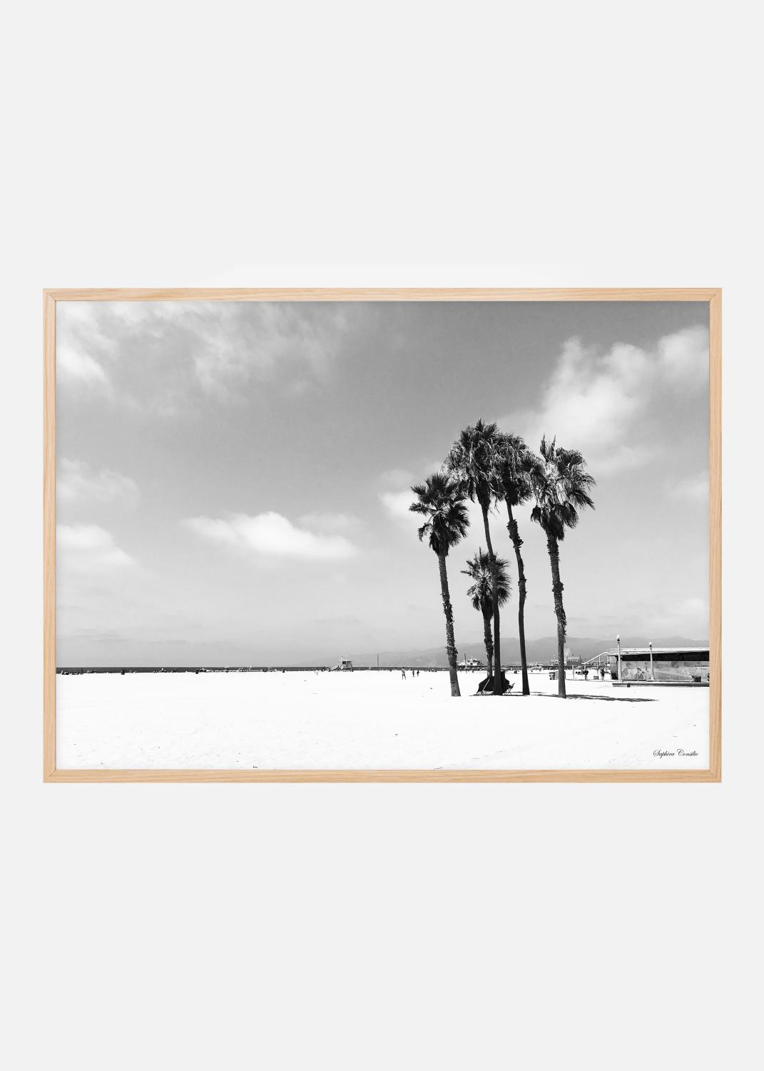 Product Image for Venice Beach Ocean Poster (40x50 cm)