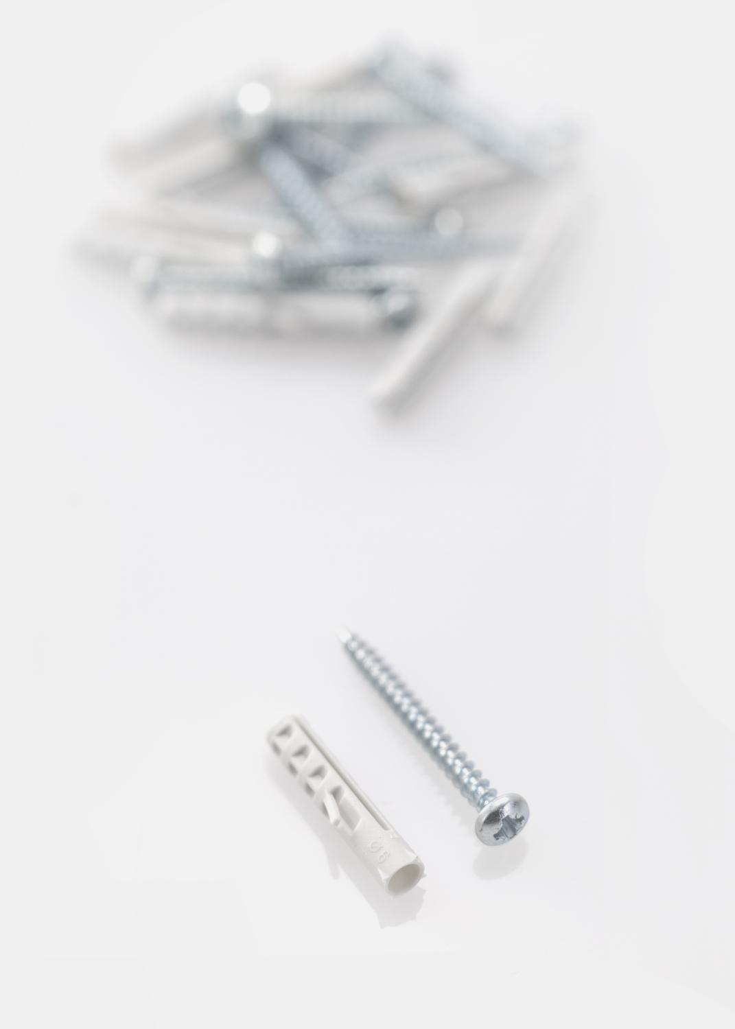 Product Image for Dübel 25 x 5,5 mm mit Schraube 10er-Pack