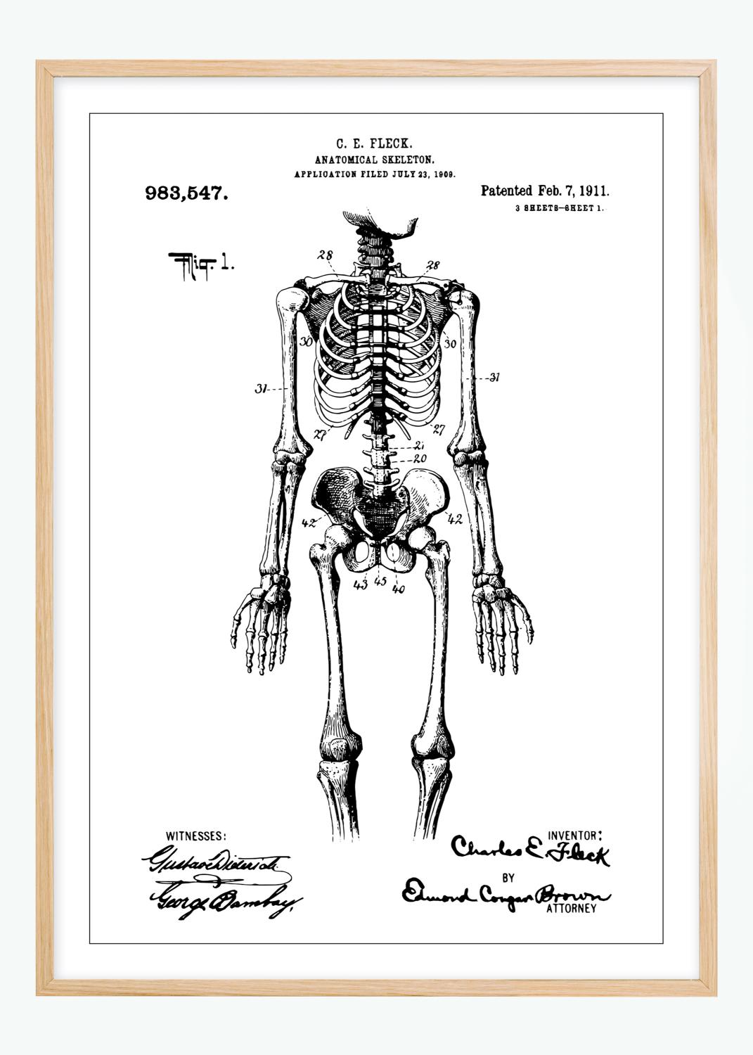 Product Image for Patentzeichnung - Anatomisches Skelett I Poster (40x50 cm)