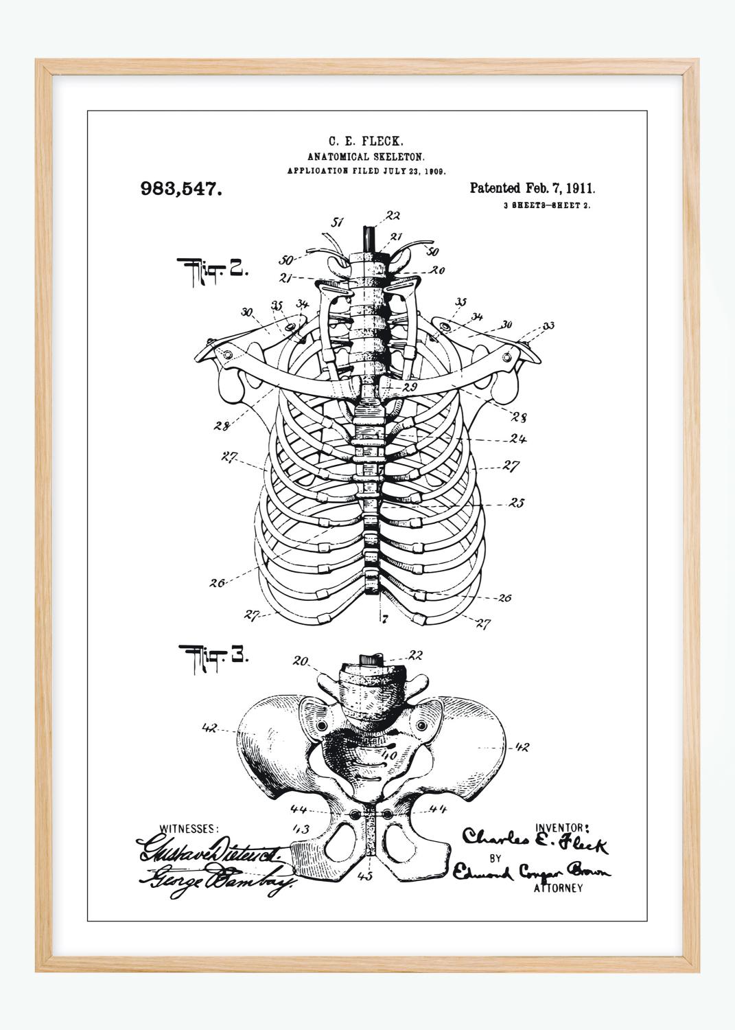 Product Image for Patentzeichnung - Anatomisches Skelett II Poster (30x40 cm)