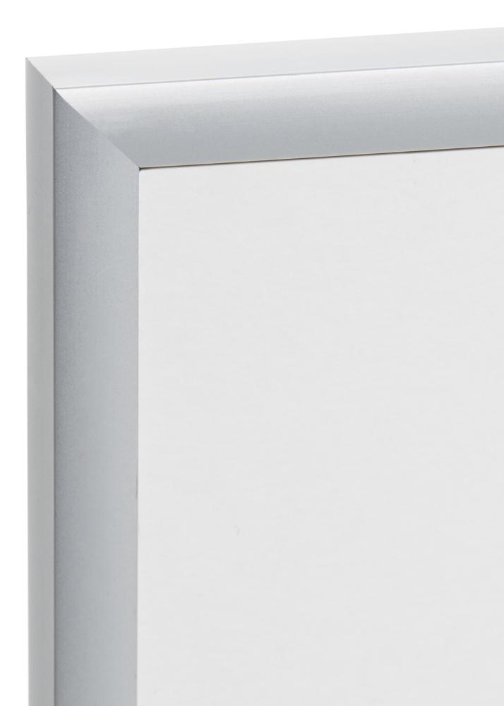 Rahmen Expo Matt Antireflexglas Silber 20x25 cm