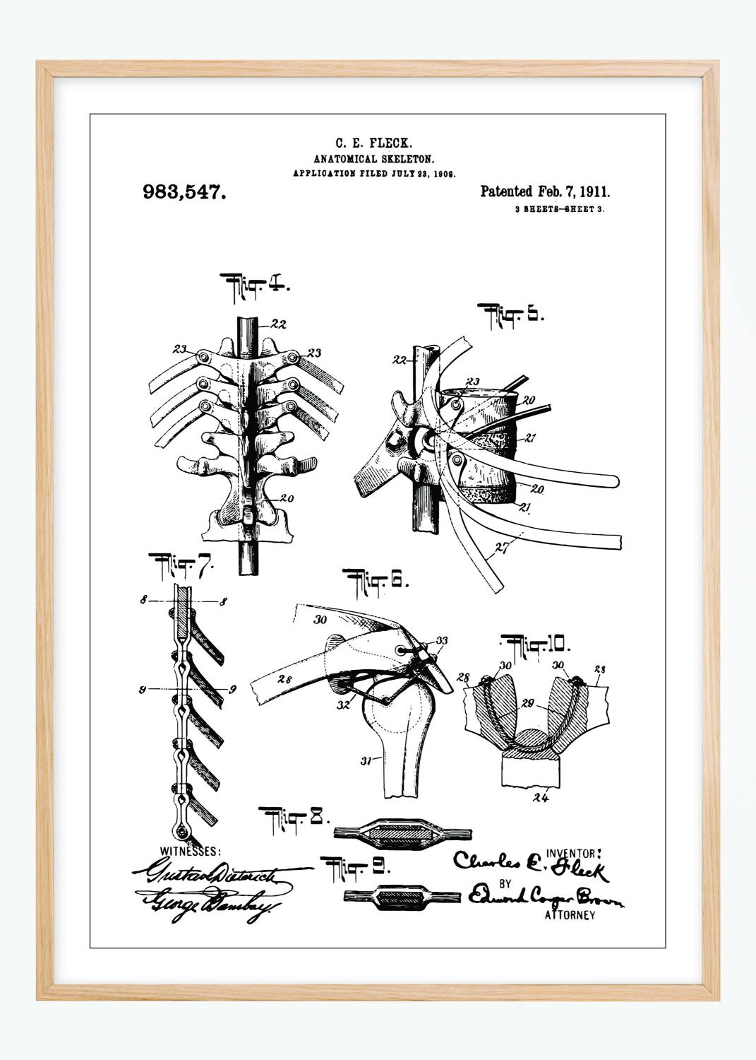 Product Image for Patentzeichnung - Anatomisches Skelett III Poster (30x40 cm)