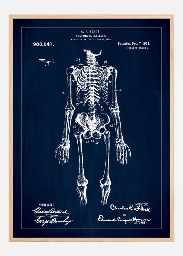 Patentzeichnung - Anatomisches Skelett I - Blau Poster