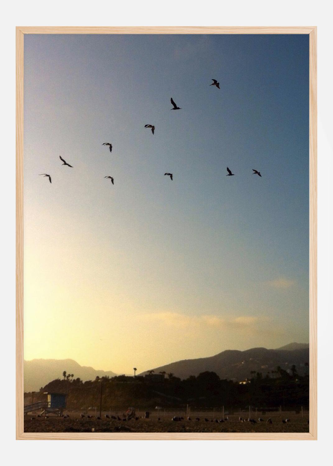 Product Image for Goodbye Birds Poster (70x100 cm)