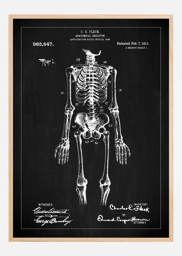 Patentzeichnung - Anatomisches Skelett I - Schwarz Poster