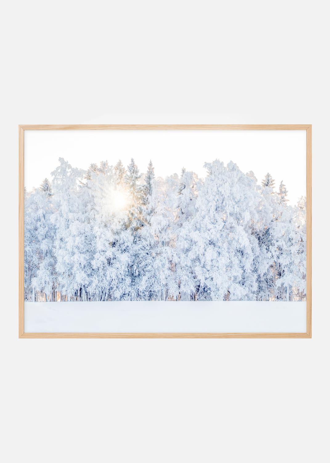 Product Image for Winter light Poster (21x29.7 cm (A4))