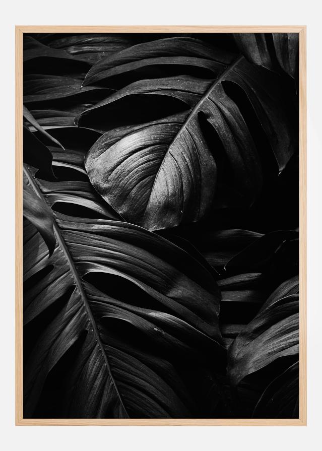 Black Leaves Poster